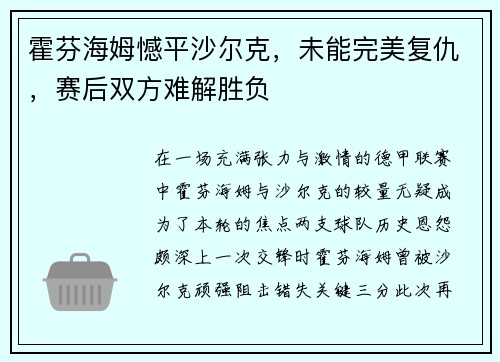 霍芬海姆憾平沙尔克，未能完美复仇，赛后双方难解胜负